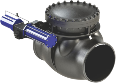 Steam Extraction Check Valve